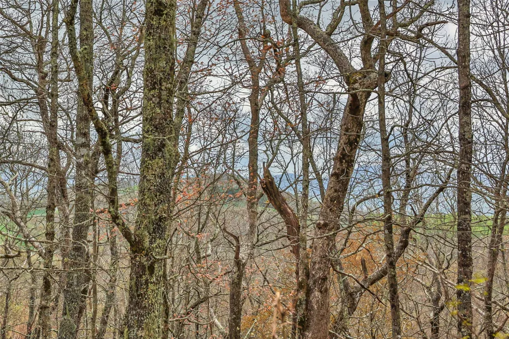 77 Valley View Trail Glenville, NC 28736