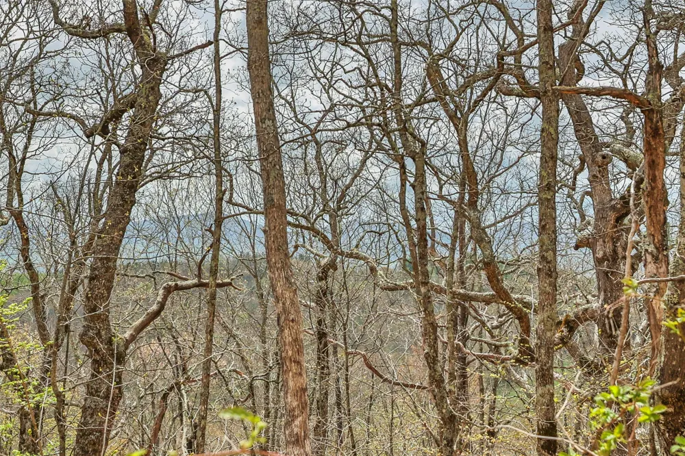 77 Valley View Trail Glenville, NC 28736