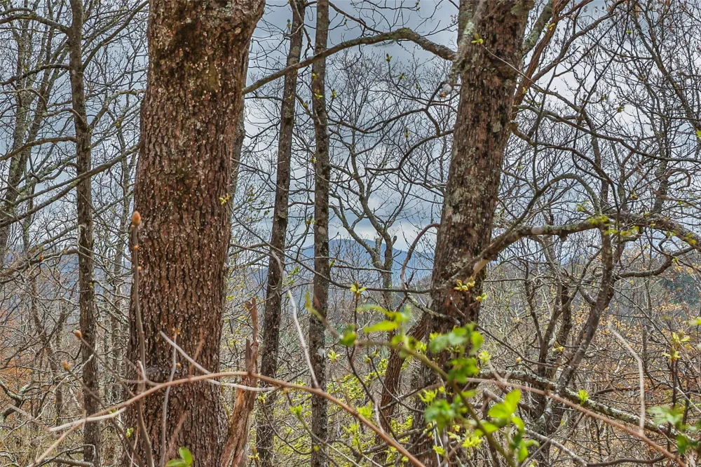 77 Valley View Trail Glenville, NC 28736