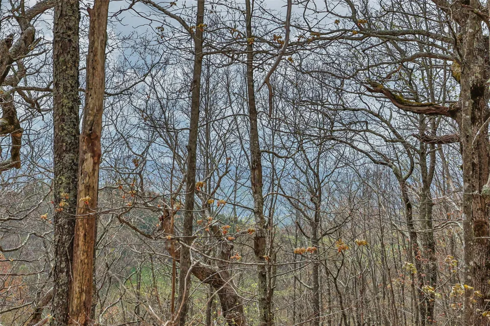 77 Valley View Trail Glenville, NC 28736