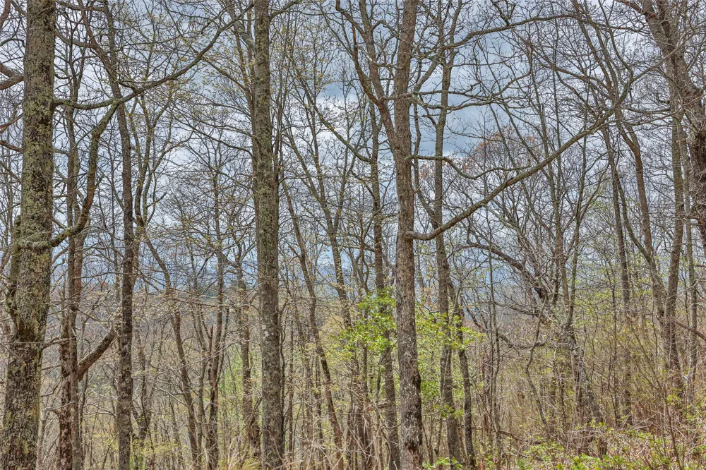 77 Valley View Trail Glenville, NC 28736