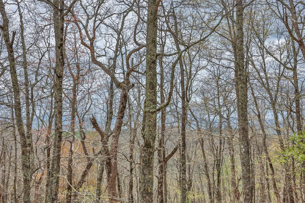 77 Valley View Trail Glenville, NC 28736