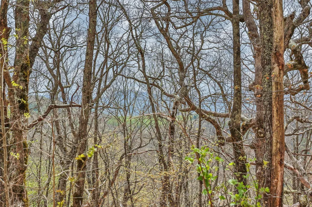 77 Valley View Trail Glenville, NC 28736