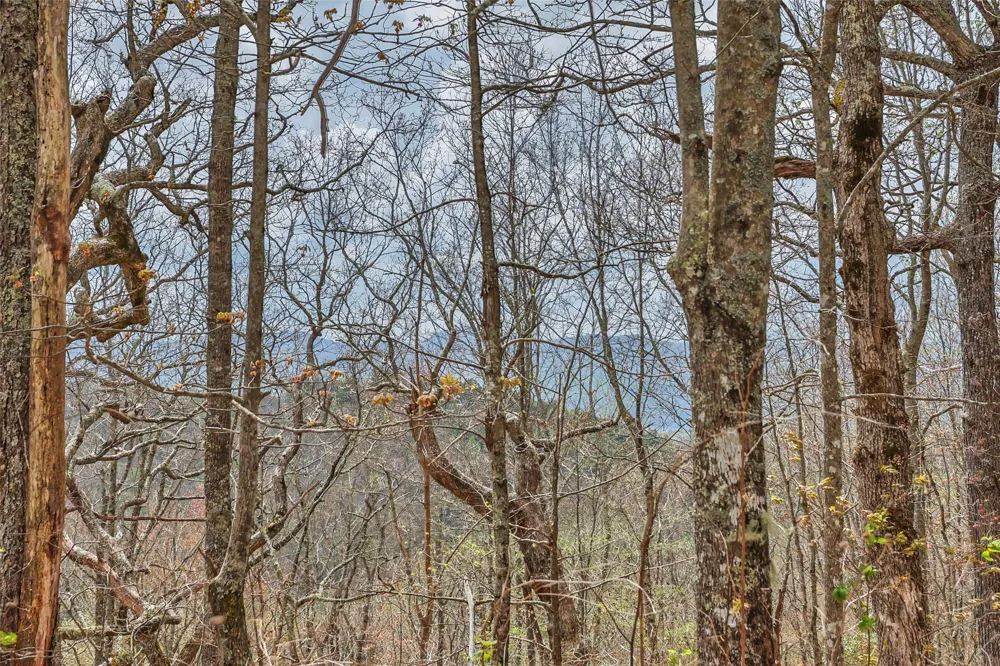77 Valley View Trail Glenville, NC 28736
