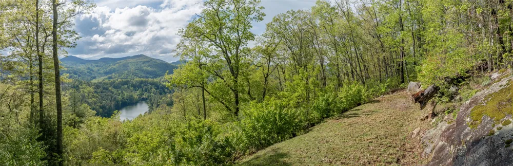 723 Shepherds Gap Road Cullowhee, NC 28723