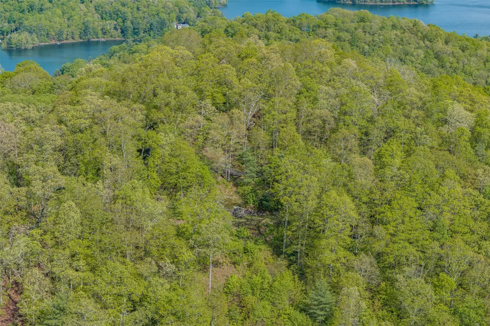 723 Shepherds Gap Road Cullowhee, NC 28723