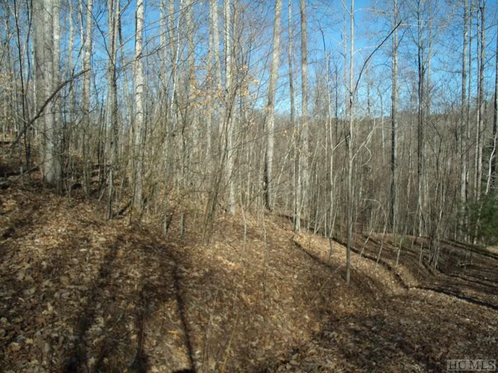 Lot 39 Sweetspring Trail Glenville, NC 28736