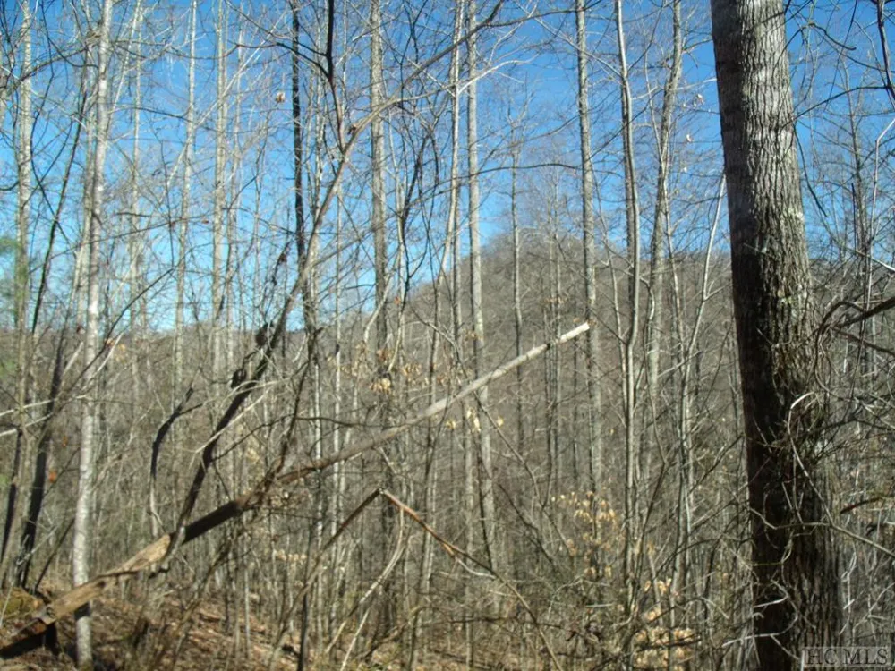 Lot 39 Sweetspring Trail Glenville, NC 28736