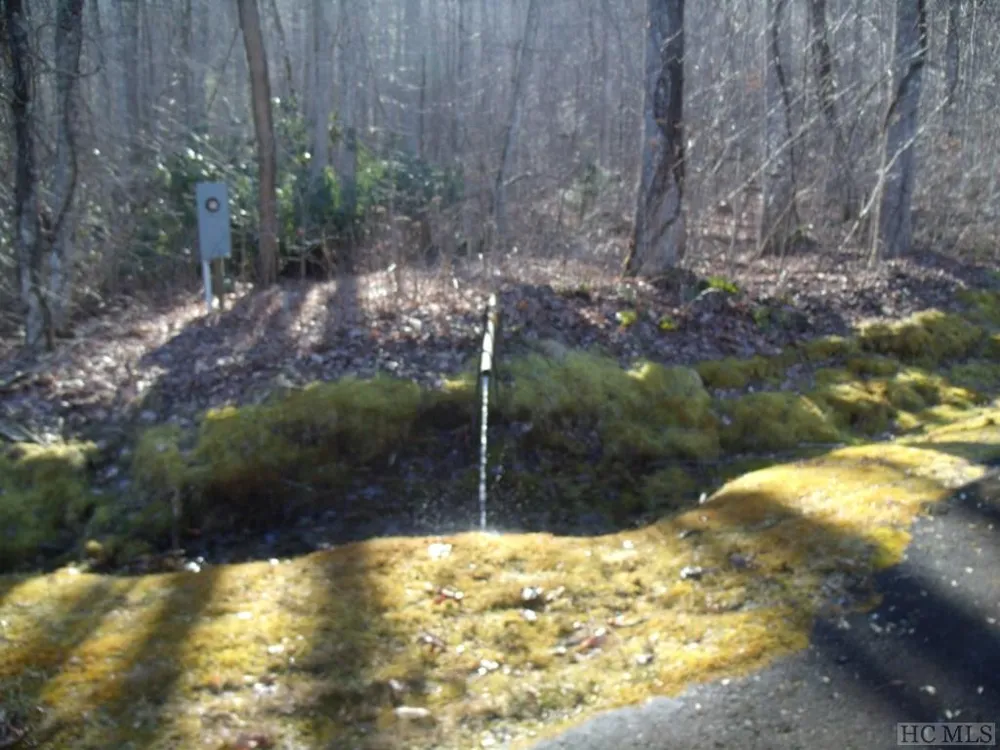 Lot 39 Sweetspring Trail Glenville, NC 28736