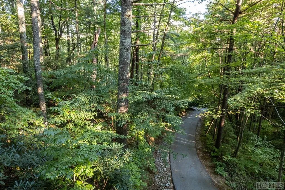 J 29 Cherokee Trace Lake Toxaway, NC 28747