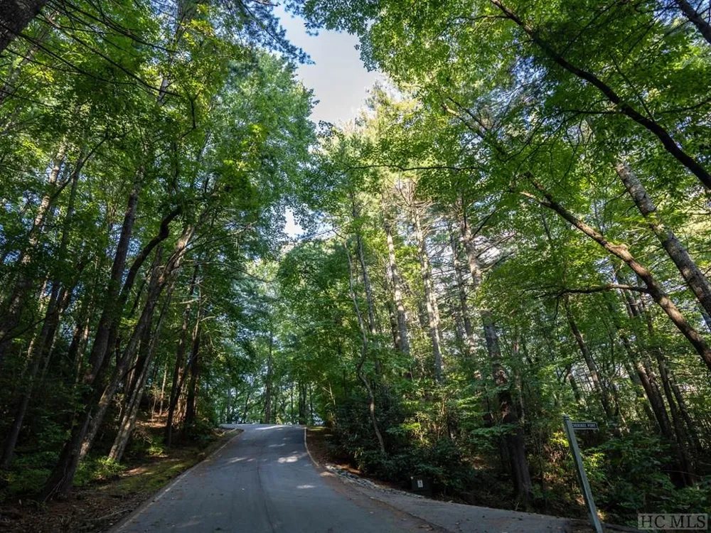 J 29 Cherokee Trace Lake Toxaway, NC 28747