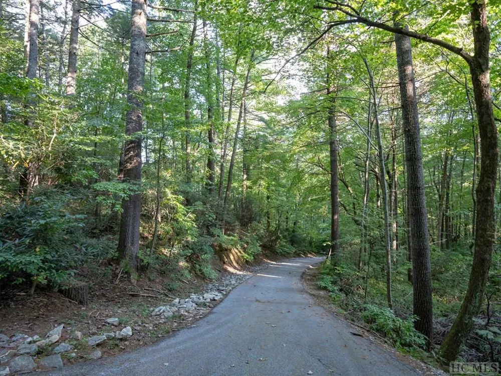 J 29 Cherokee Trace Lake Toxaway, NC 28747