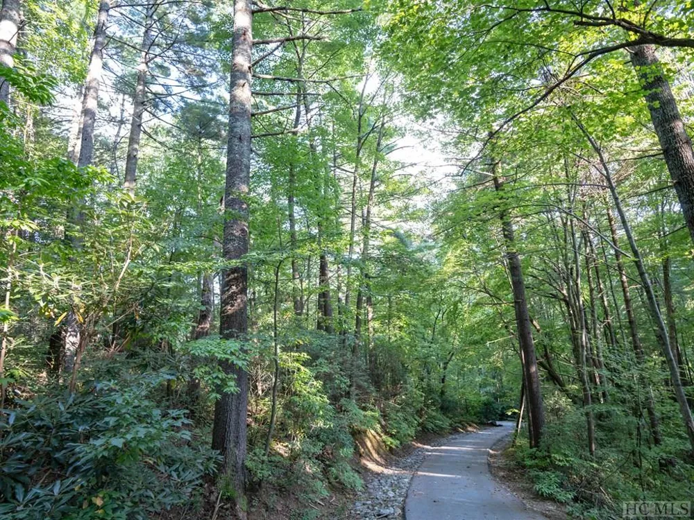 J 29 Cherokee Trace Lake Toxaway, NC 28747