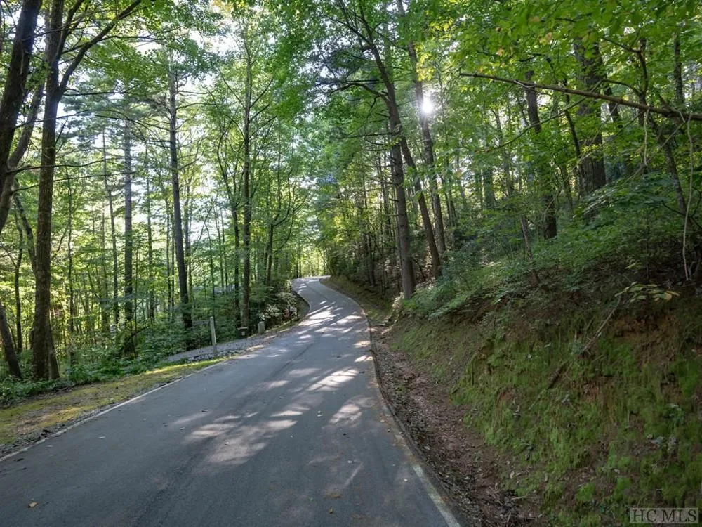 J 29 Cherokee Trace Lake Toxaway, NC 28747