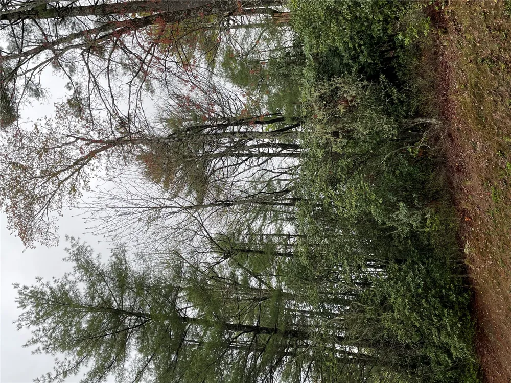 Lot G- Bailey Lane Sapphire, NC 28774