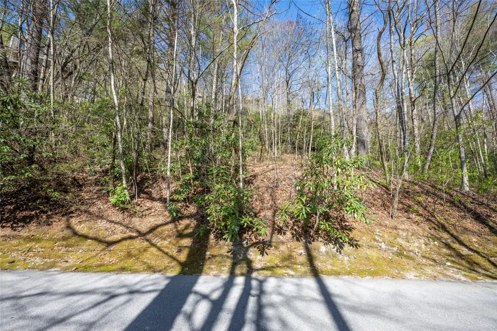 18 Country Club Estates Drive Sapphire, NC 28774