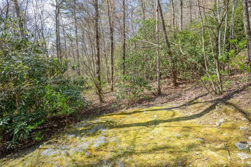 18 Country Club Estates Drive Sapphire, NC 28774