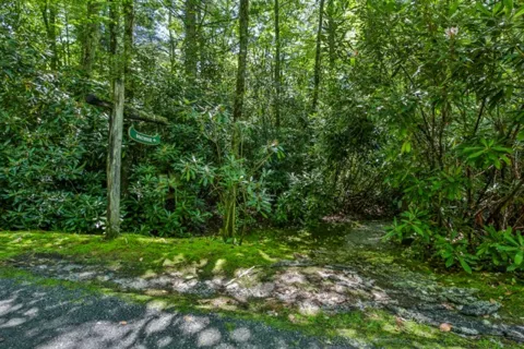 Lot 11 Lake Osseroga Drive