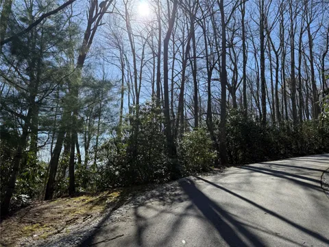 lot 21 Bright Mountain