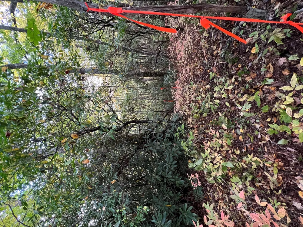 lot 21 Bright Mountain Cullowhee, NC 28723