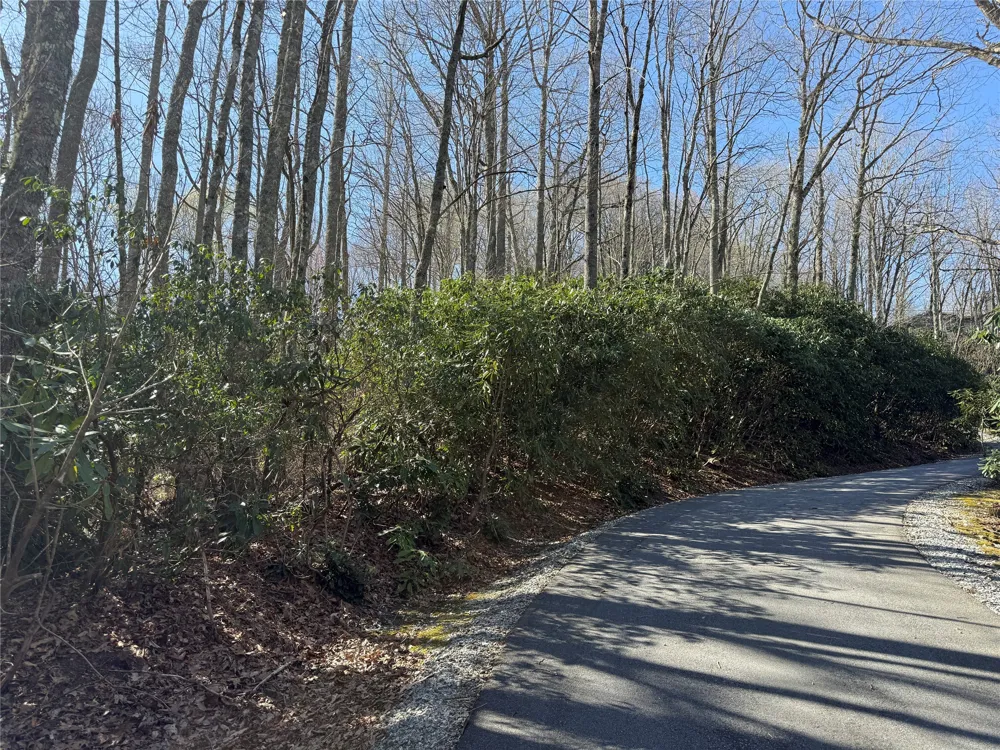 lot 21 Bright Mountain Cullowhee, NC 28723