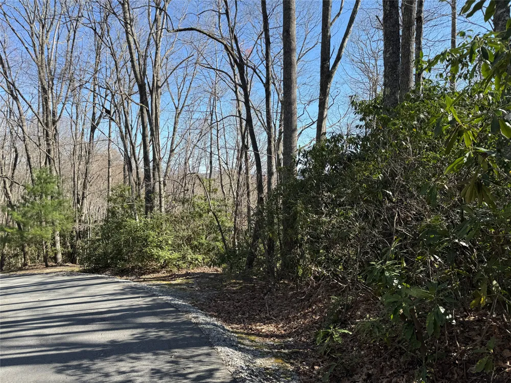 lot 21 Bright Mountain Cullowhee, NC 28723