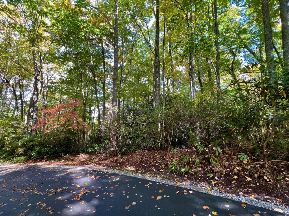 lot 21 Bright Mountain Cullowhee, NC 28723