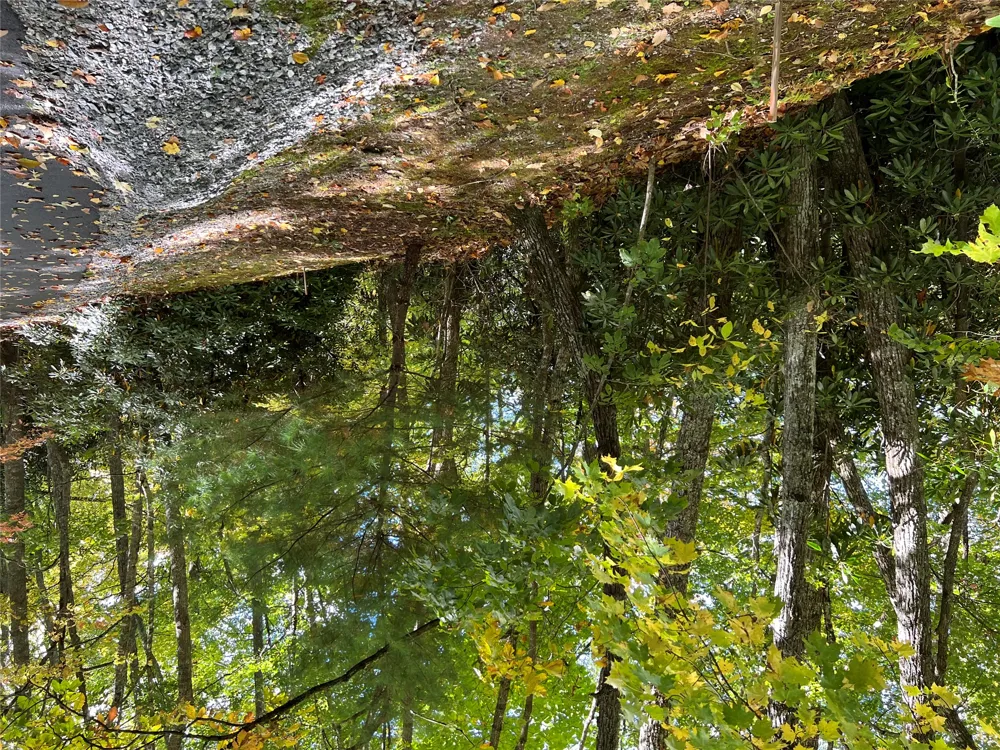 lot 21 Bright Mountain Cullowhee, NC 28723