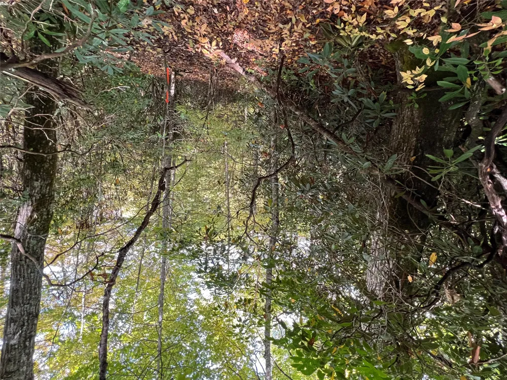 lot 21 Bright Mountain Cullowhee, NC 28723