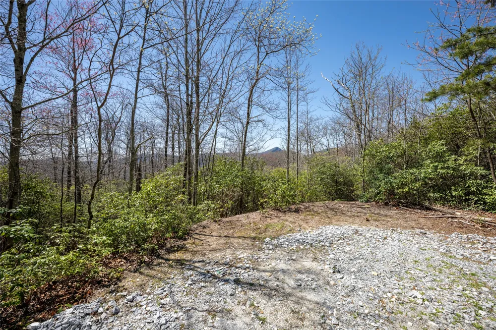 3 Big Granite Court Sapphire, NC 28774