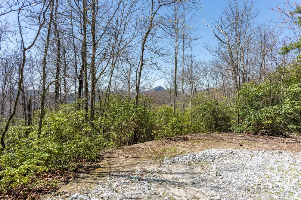 3 Big Granite Court Sapphire, NC 28774