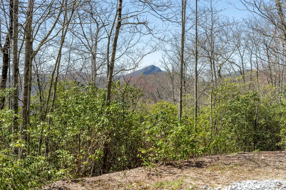 3 Big Granite Court Sapphire, NC 28774