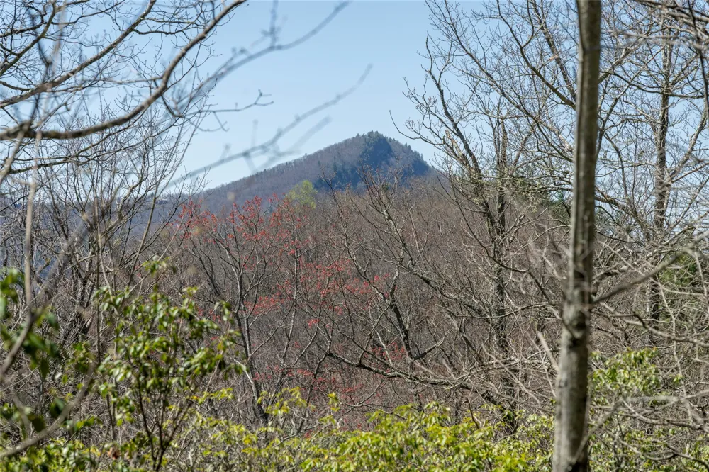 3 Big Granite Court Sapphire, NC 28774