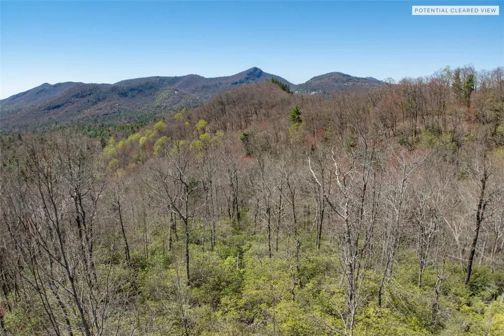 3 Big Granite Court Sapphire, NC 28774
