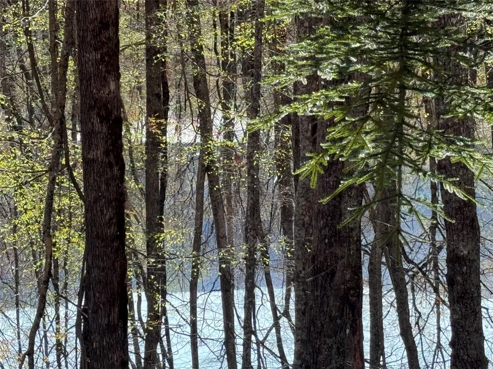 lot 22 Bright Mountain Cullowhee, NC 28723