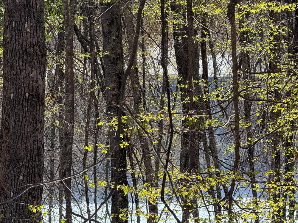 lot 22 Bright Mountain Cullowhee, NC 28723