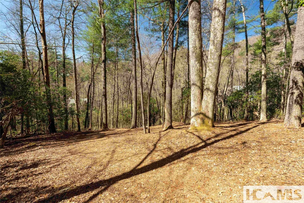 124 Taut Line Lane Sapphire, NC 28774