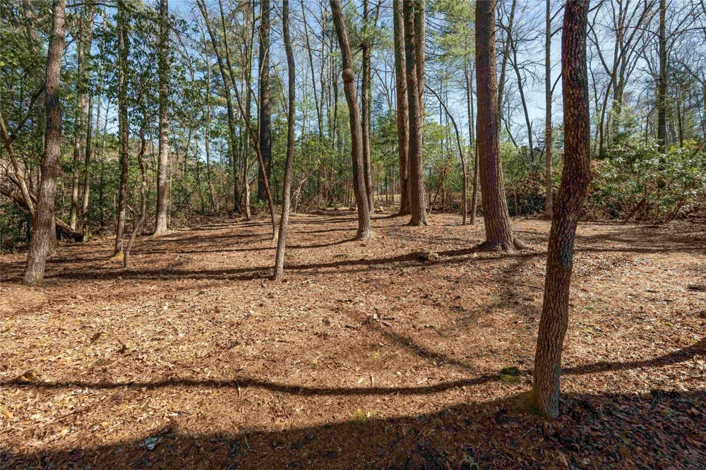 124 Taut Line Lane Sapphire, NC 28774