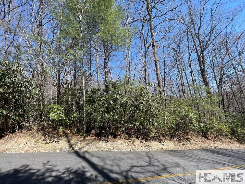 33 Beech Court Sapphire, NC 28774