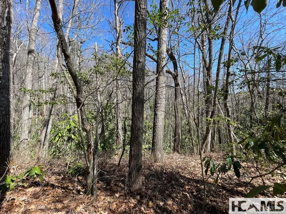 33 Beech Court Sapphire, NC 28774