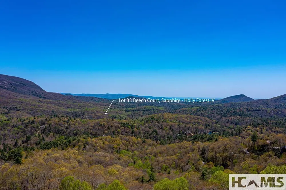 33 Beech Court Sapphire, NC 28774