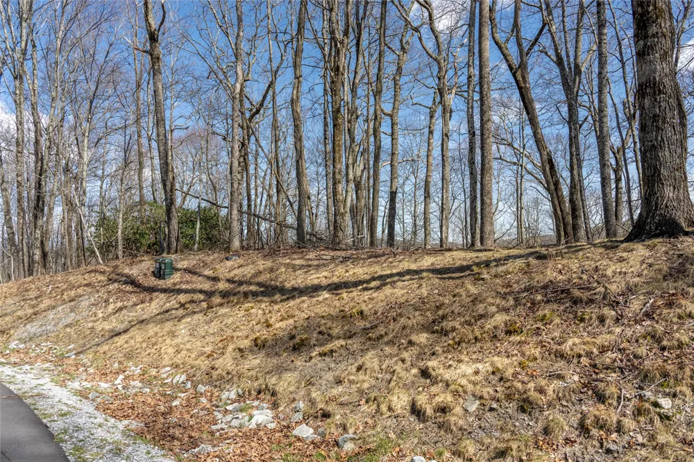 C46 Roaming Road Glenville, NC 28736