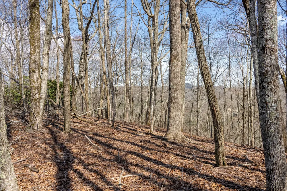 C46 Roaming Road Glenville, NC 28736
