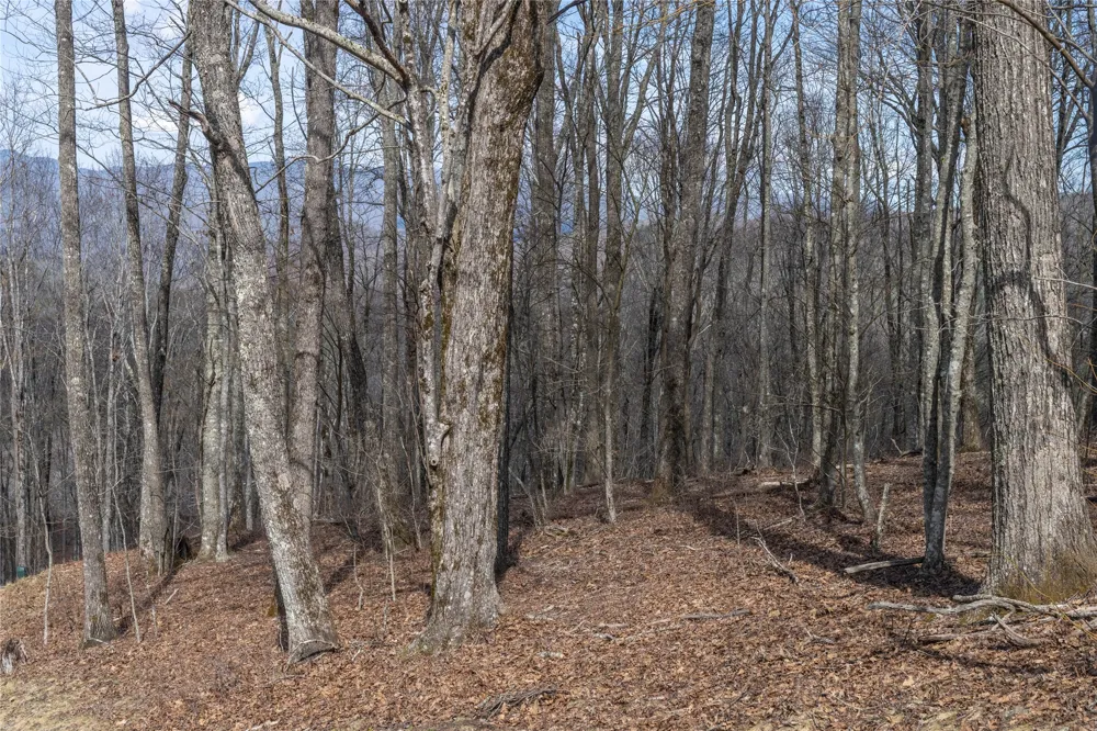 C46 Roaming Road Glenville, NC 28736