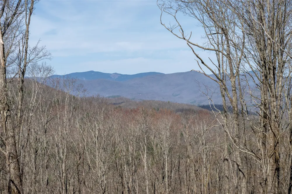 C46 Roaming Road Glenville, NC 28736