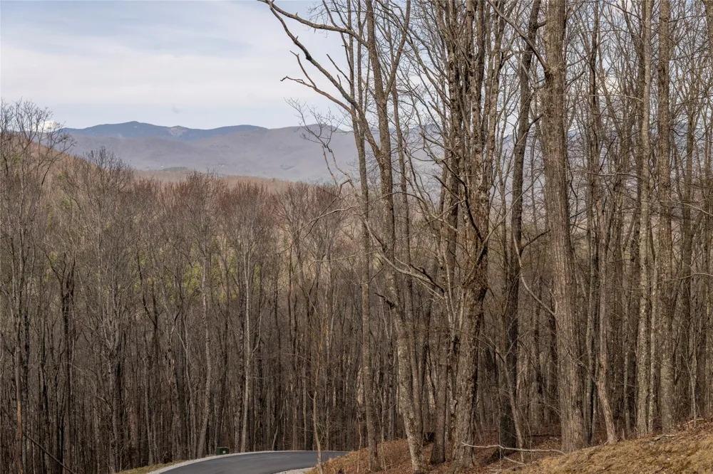 C46 Roaming Road Glenville, NC 28736