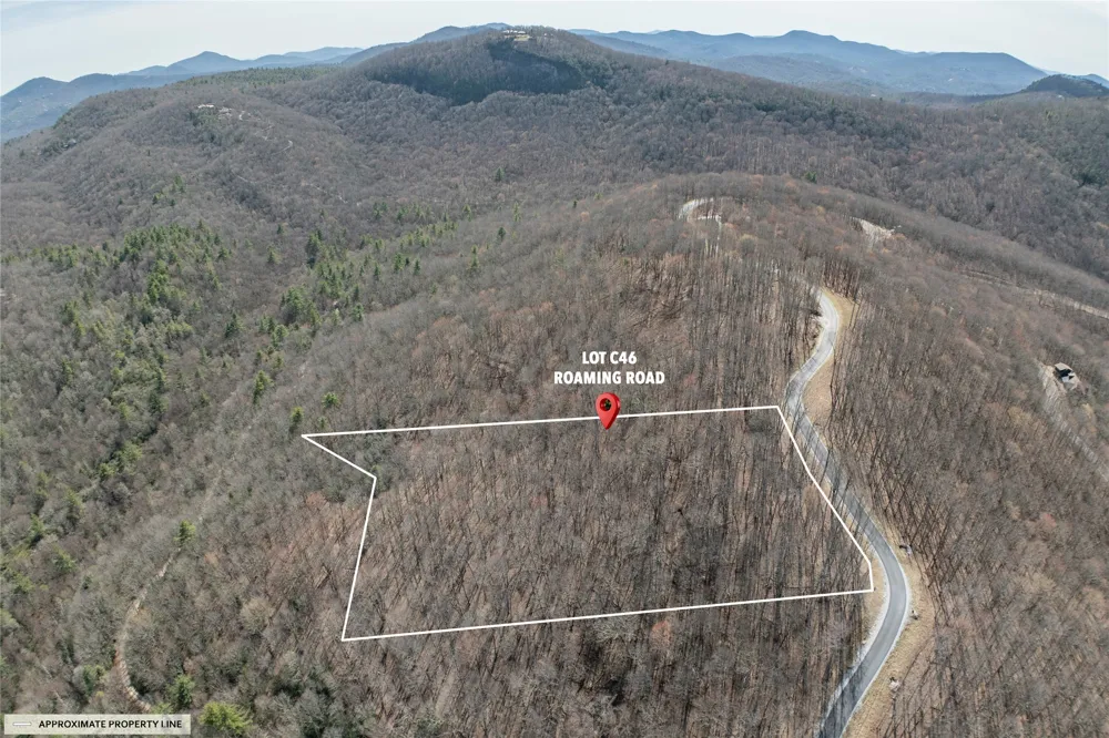 C46 Roaming Road Glenville, NC 28736