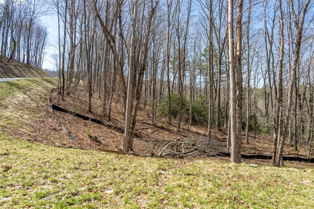 C20 Roaming Road Glenville, NC 28736