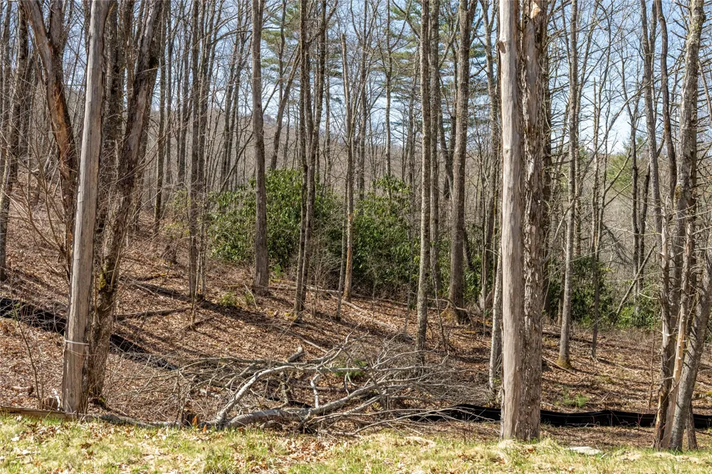 C20 Roaming Road Glenville, NC 28736