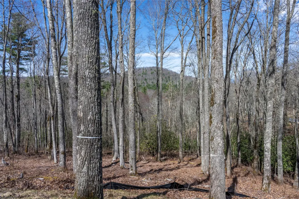 C20 Roaming Road Glenville, NC 28736